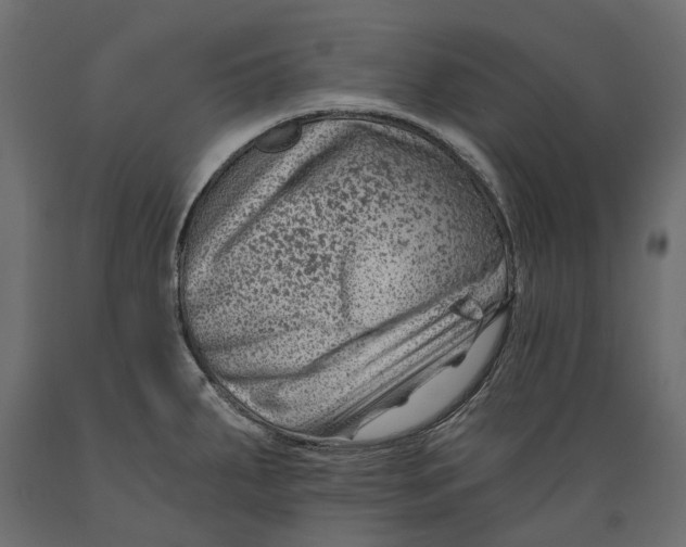 X0000088891287200707061424