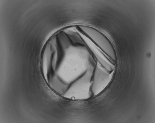 X0000088891288200707061424