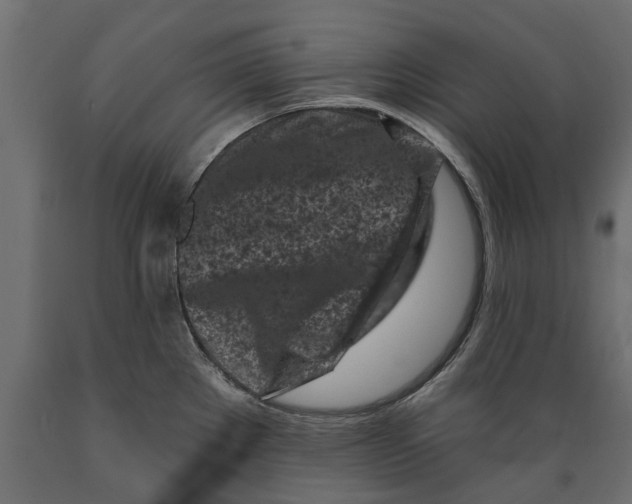 X0000088891289200707061424