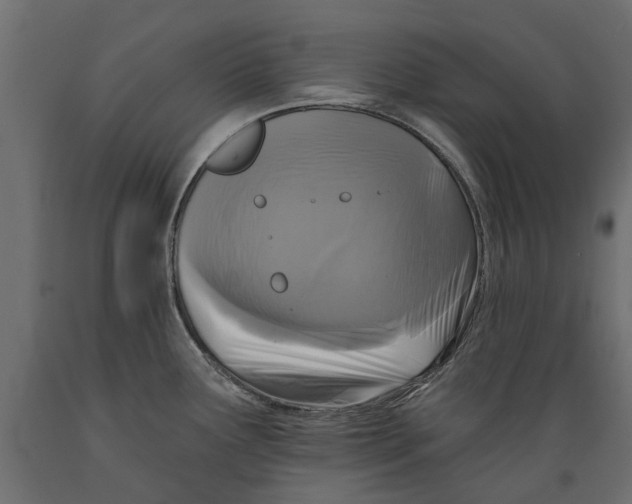 X0000088891291200707061424