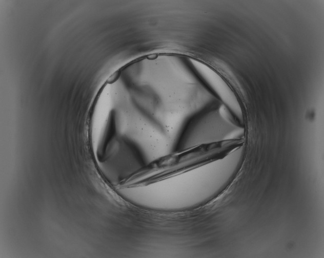 X0000088891292200707061424