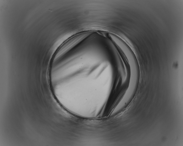 X0000088891293200707061424