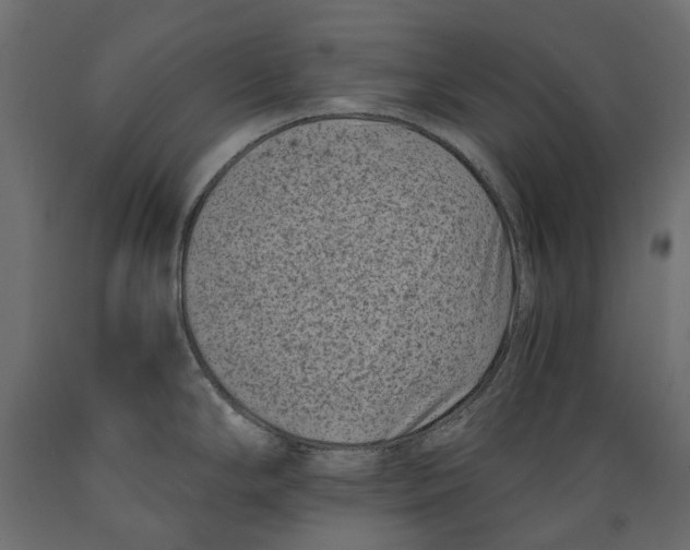 X0000088891294200707061424