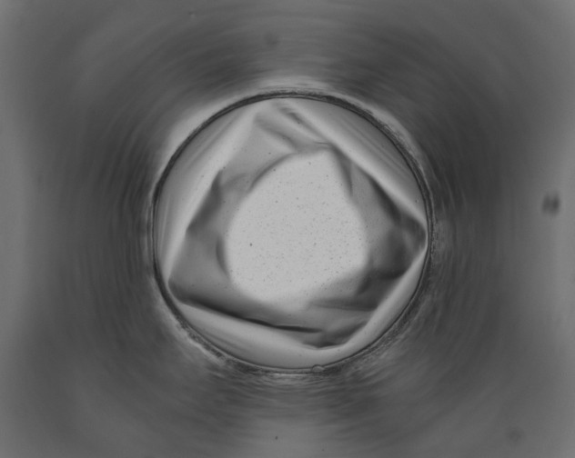 X0000088891295200707061424