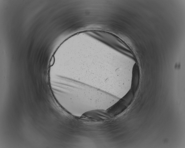 X0000088891296200707061424