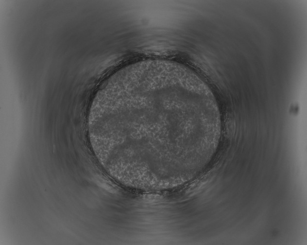 X0000088891297200707061423