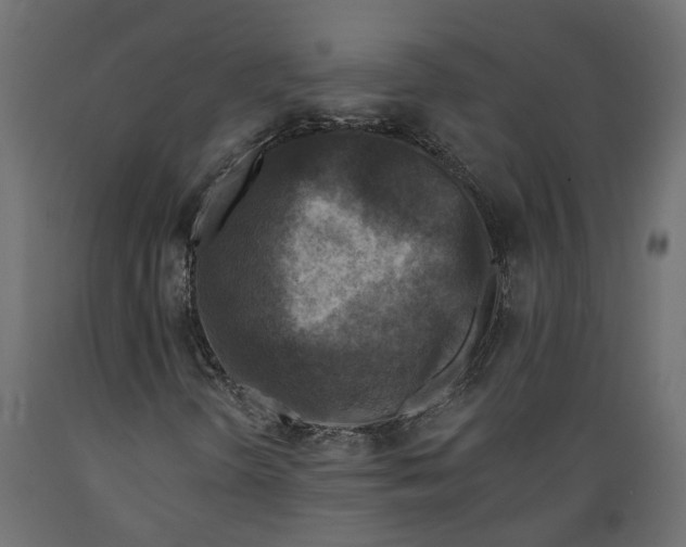 X0000088891298200707061423