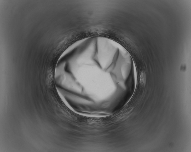 X0000088891299200707061423
