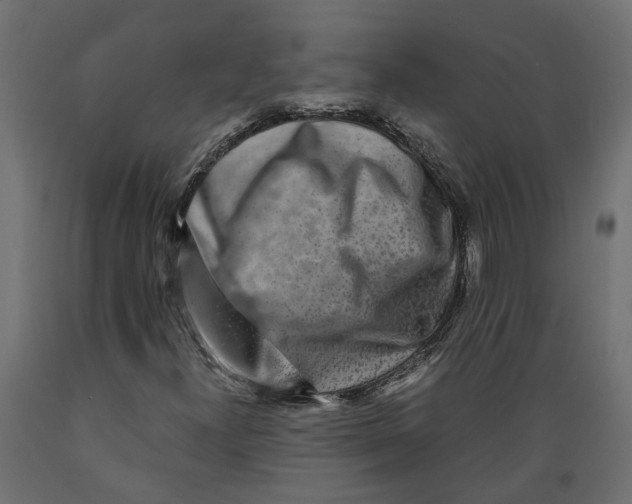 X0000088891300200707061423