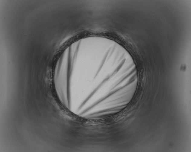 X0000088891301200707061423