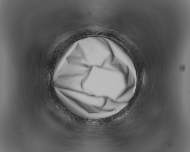 X0000088891302200707061423
