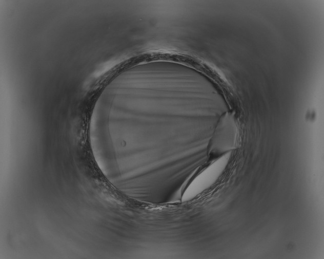 X0000088891303200707061423
