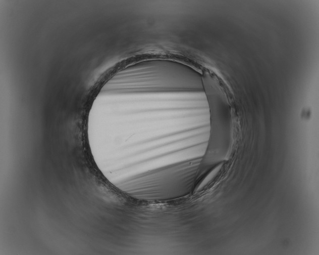 X0000088891304200707061423
