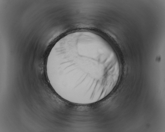 X0000088891306200707061423