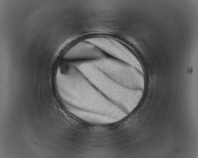 X0000088891307200707061423