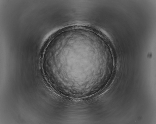 X0000088891310200707061423