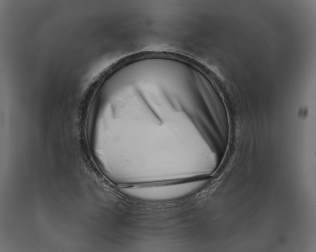 X0000088891311200707061423