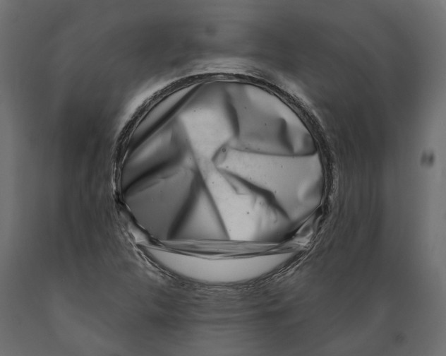 X0000088891312200707061423
