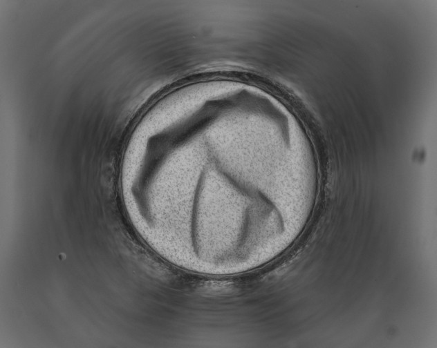 X0000088891313200707061423