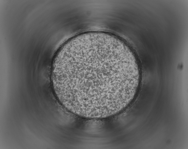X0000088891314200707061423