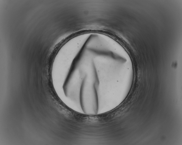 X0000088891315200707061423