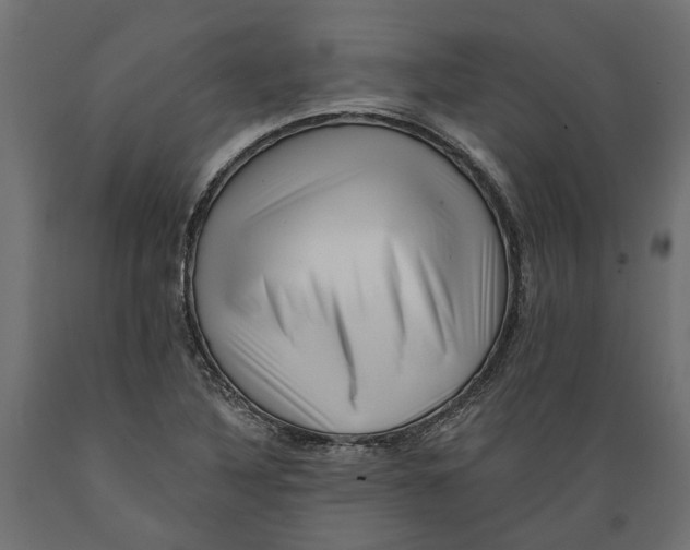 X0000088891316200707061423