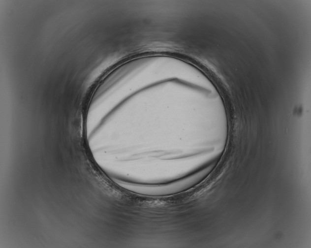 X0000088891317200707061423