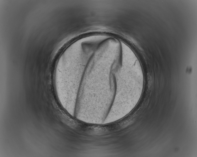 X0000088891318200707061423
