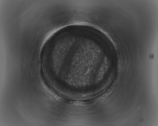 X0000088891319200707061423
