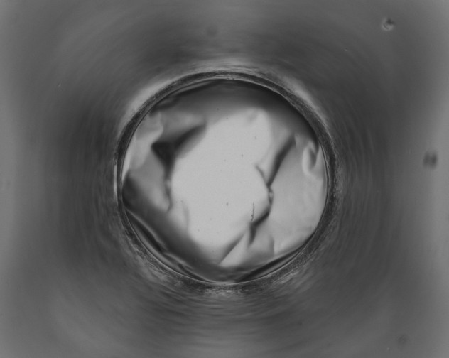 X0000088891320200707061423