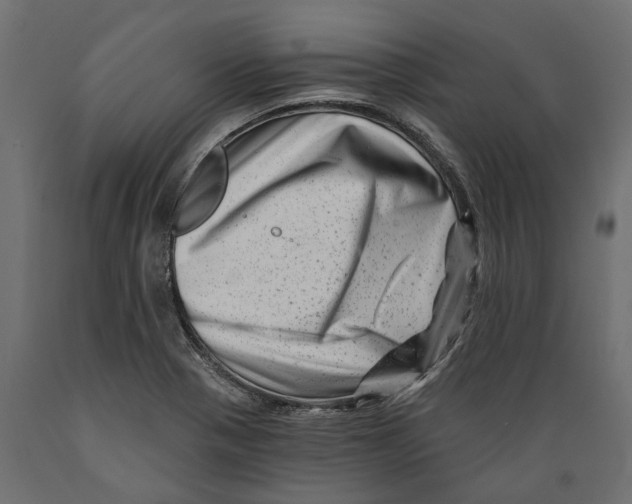 X0000088891321200707061423