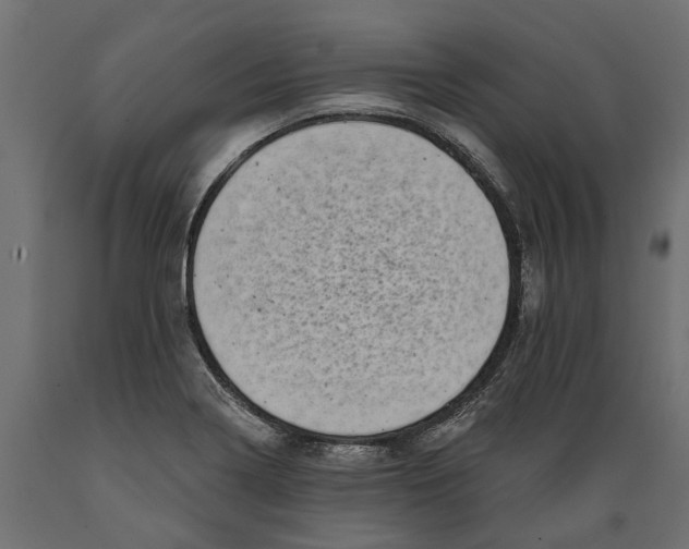 X0000088891322200707061423