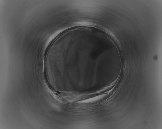 X0000088891323200707061423