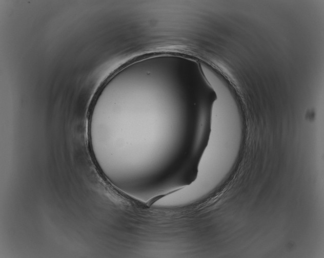 X0000088891324200707061423