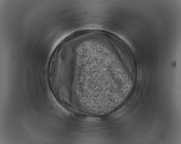X0000088891325200707061423
