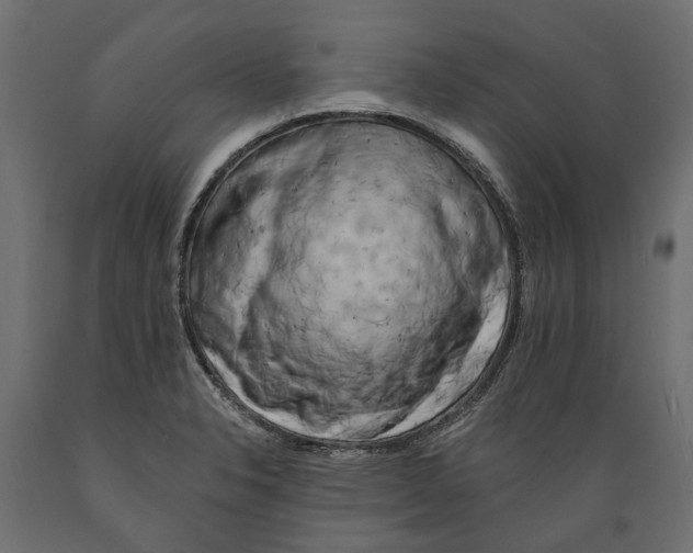 X0000088891326200707061423