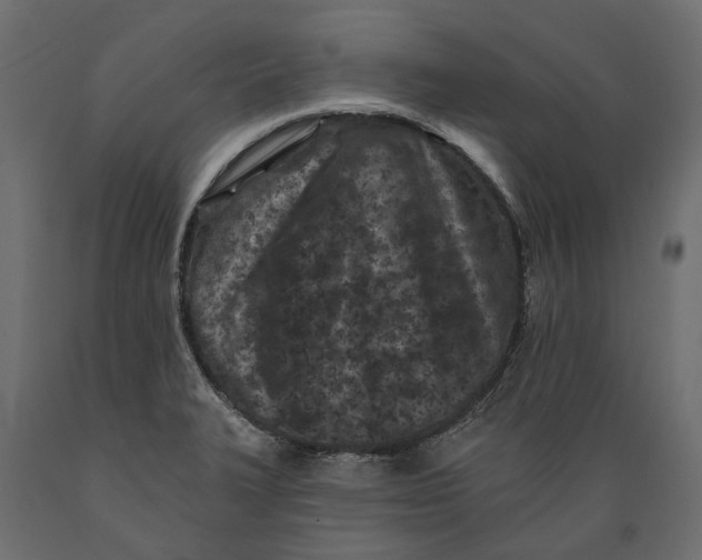 X0000088891327200707061423