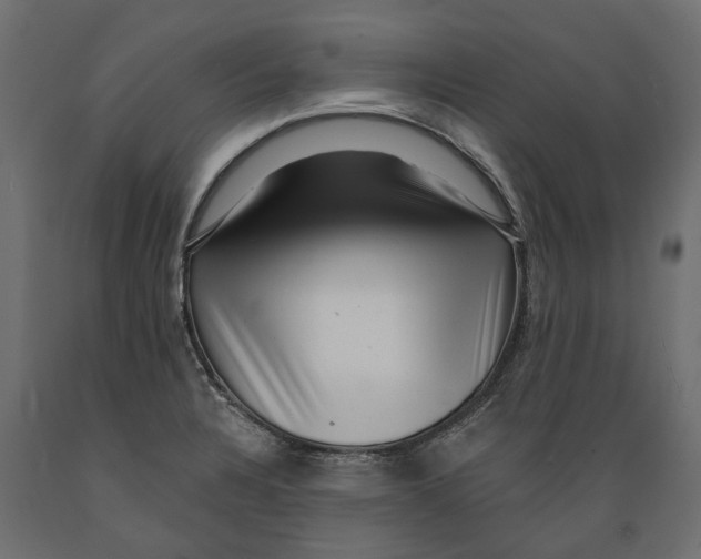 X0000088891328200707061423
