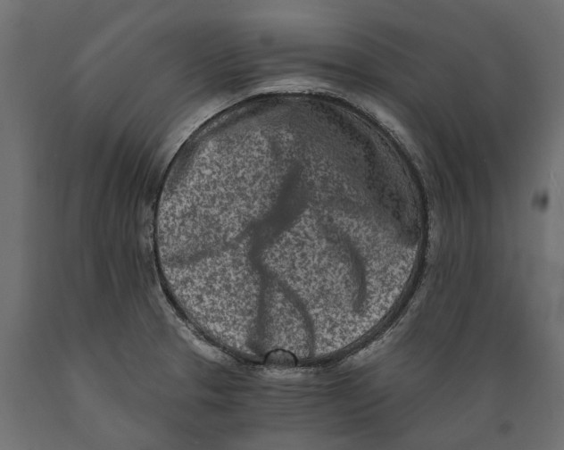 X0000088891329200707061423