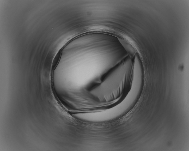X0000088891330200707061423