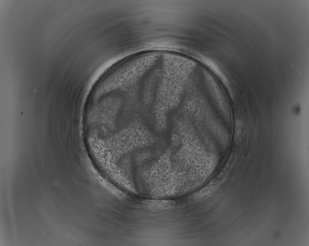 X0000088891331200707061423