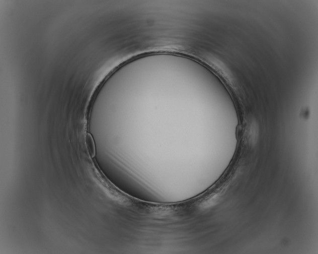 X0000088891332200707061423
