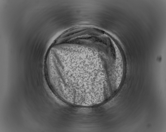 X0000088891333200707061423