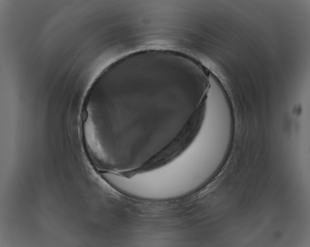 X0000088891334200707061423