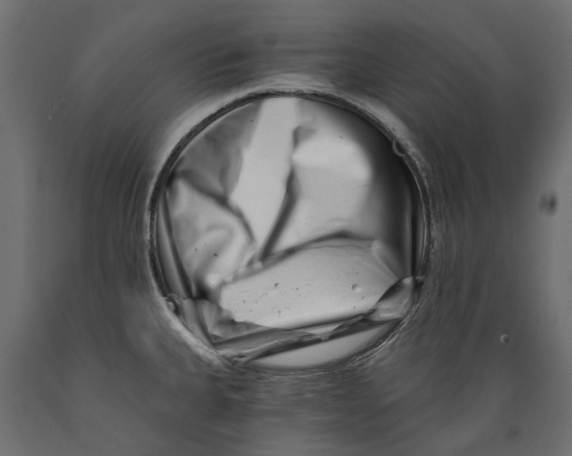 X0000088891335200707061423