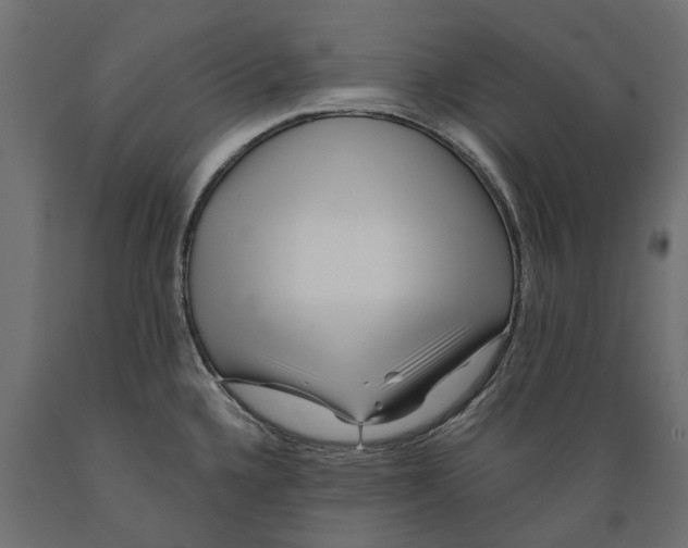 X0000088891336200707061424