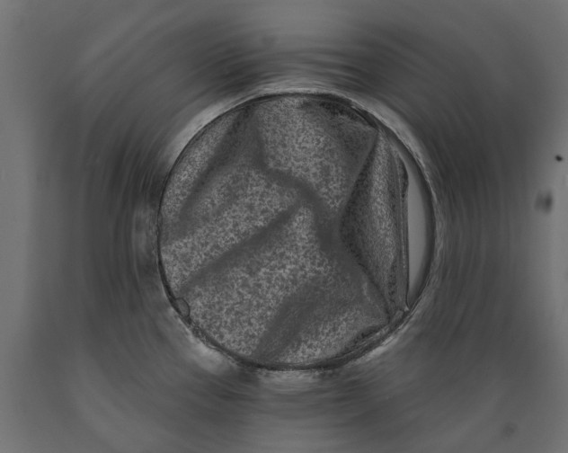 X0000088891337200707061424