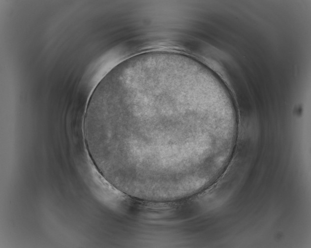 X0000088891338200707061424