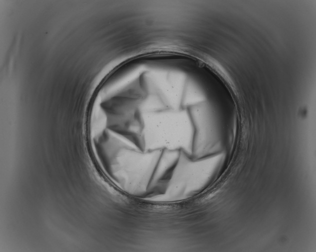 X0000088891339200707061424
