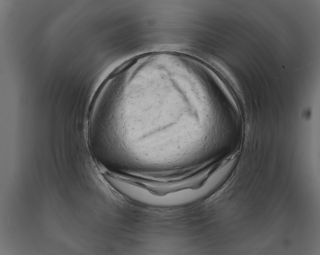 X0000088891340200707061424
